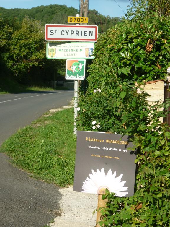 Residence Beausejour Saint Cyprien Ruang foto
